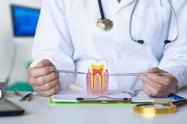 Best Emergency Root Canal Therapy in Mclean, VA